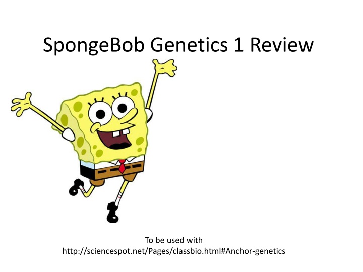 spongebob genetics 1 review