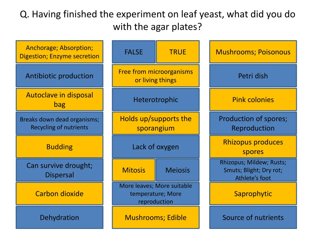 q having finished the experiment on leaf yeast