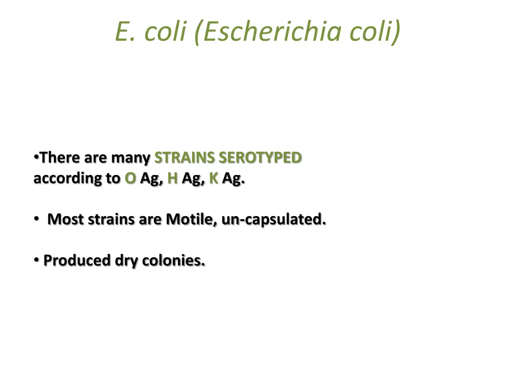 e coli escherichia coli 1