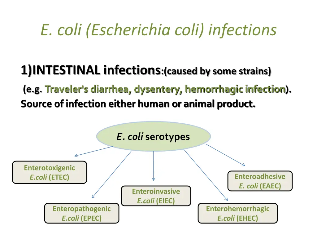 e coli escherichia coli infections 1