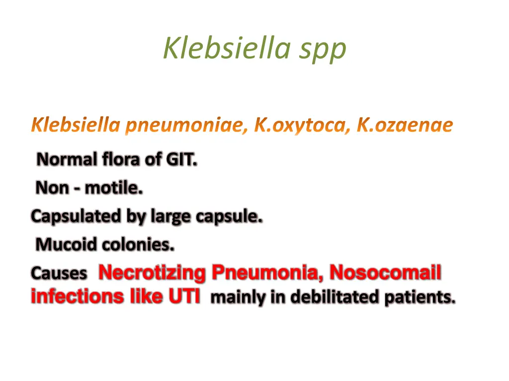 klebsiella spp