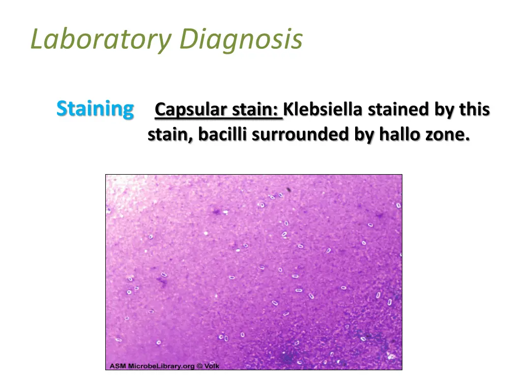 laboratory diagnosis 1