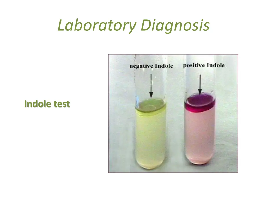 laboratory diagnosis 10