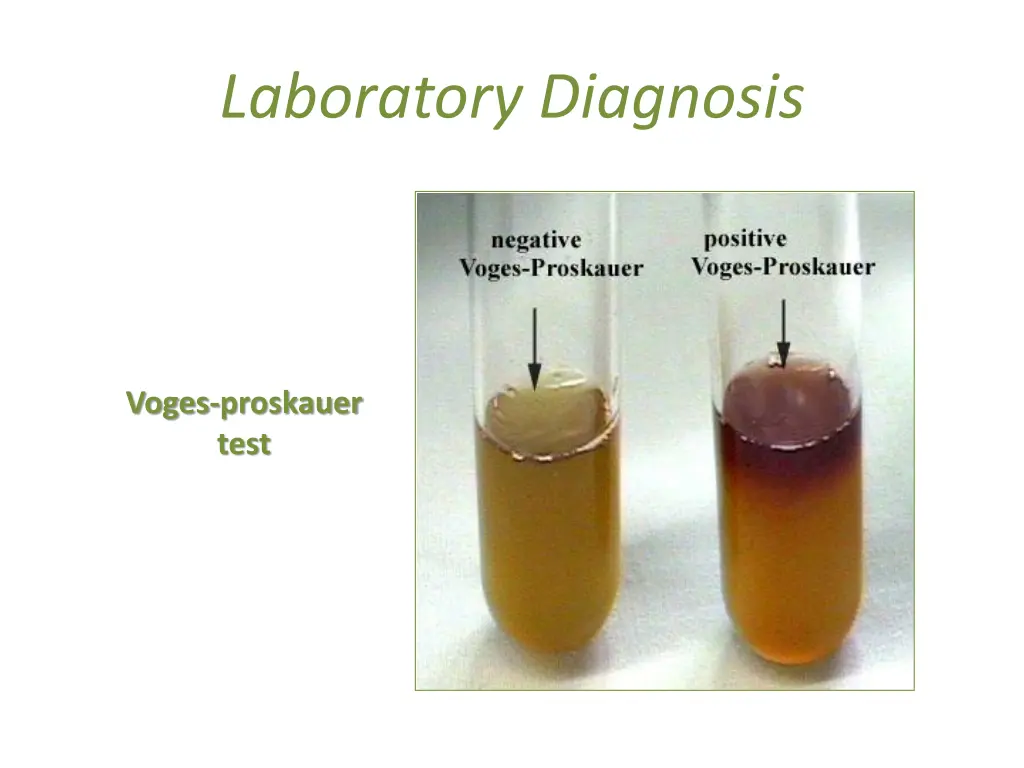 laboratory diagnosis 12