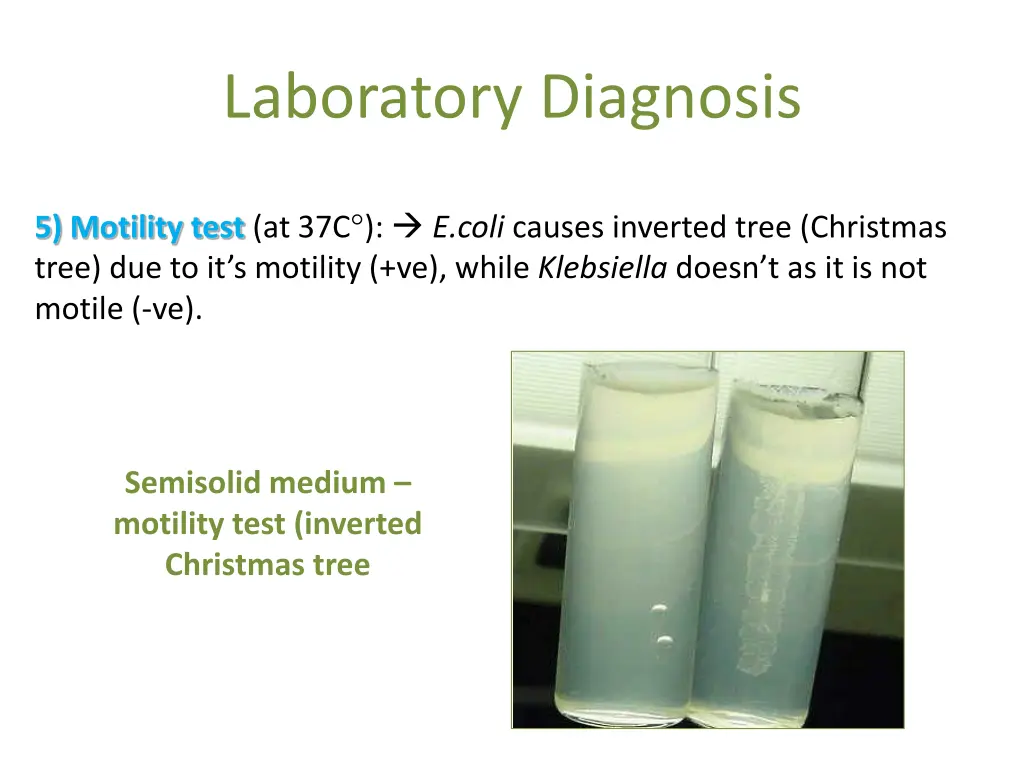 laboratory diagnosis 15