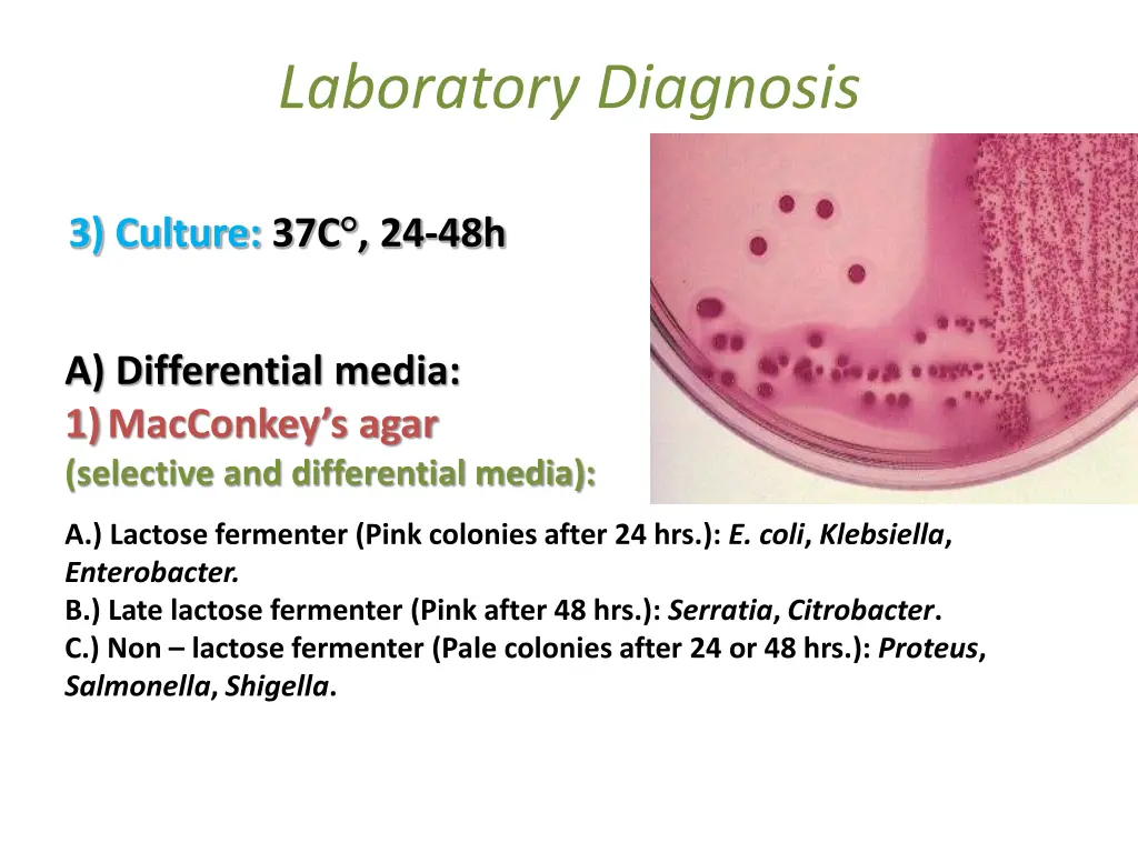 laboratory diagnosis 2