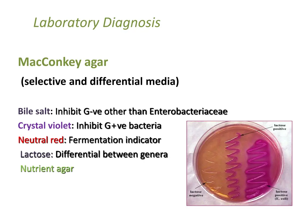 laboratory diagnosis 3