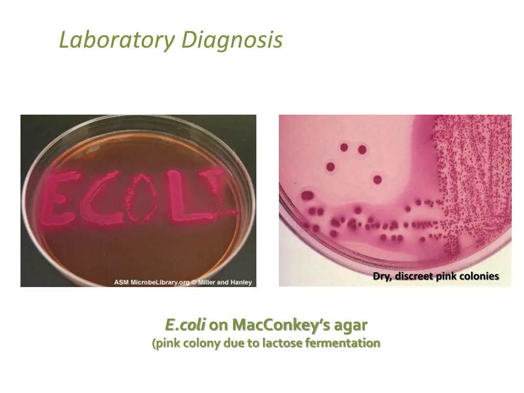 laboratory diagnosis 4