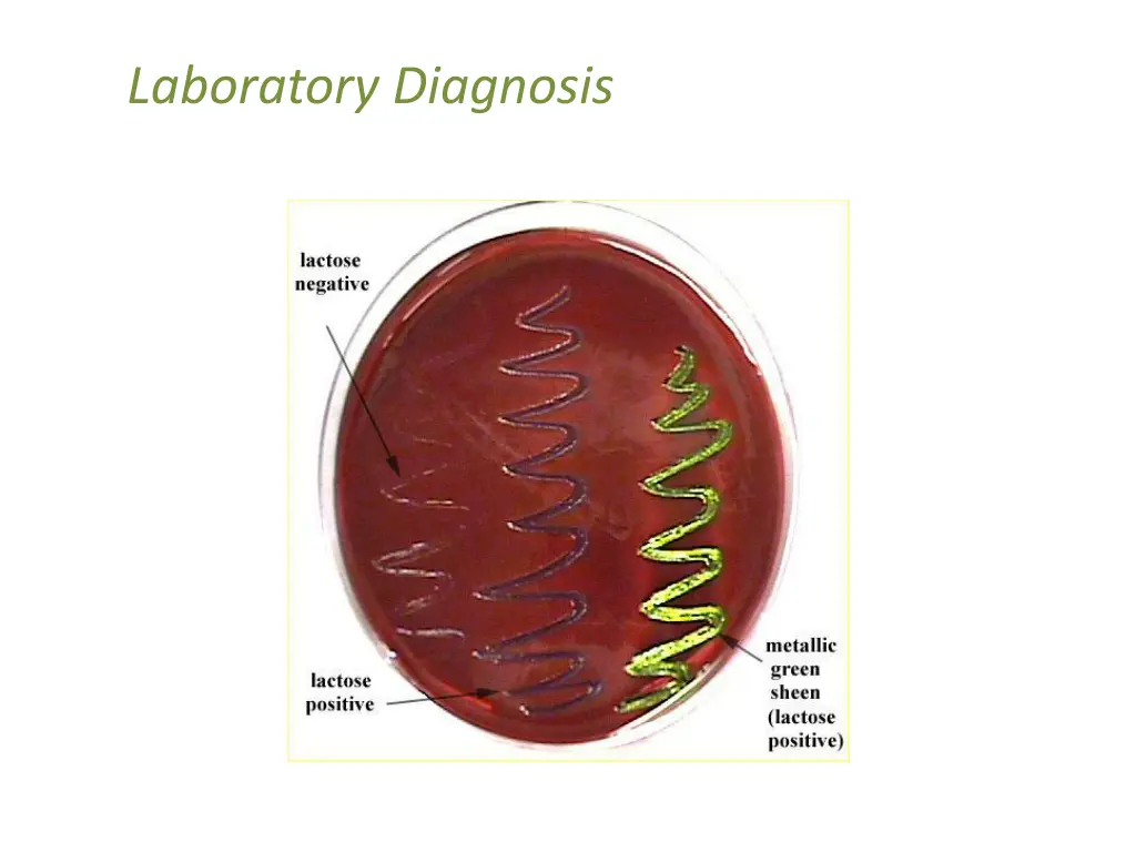 laboratory diagnosis 7