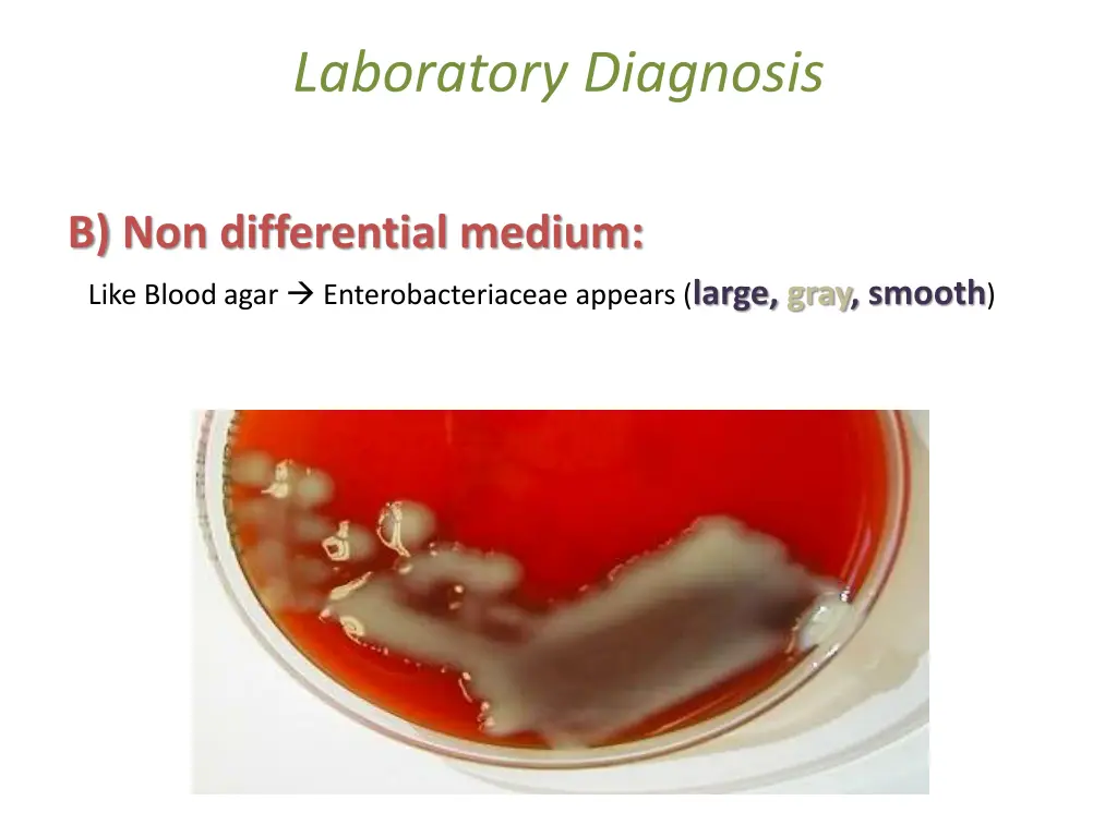 laboratory diagnosis 8