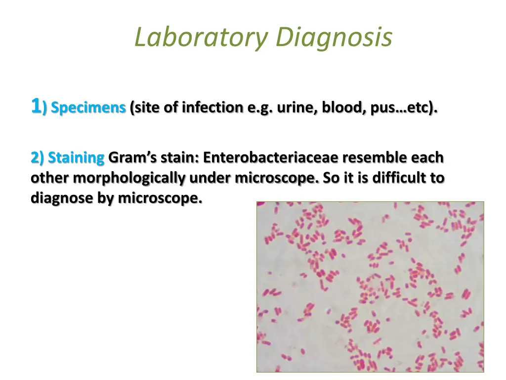 laboratory diagnosis