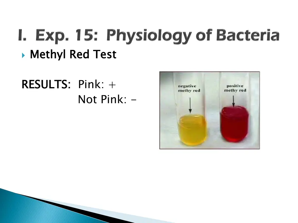 methyl red test