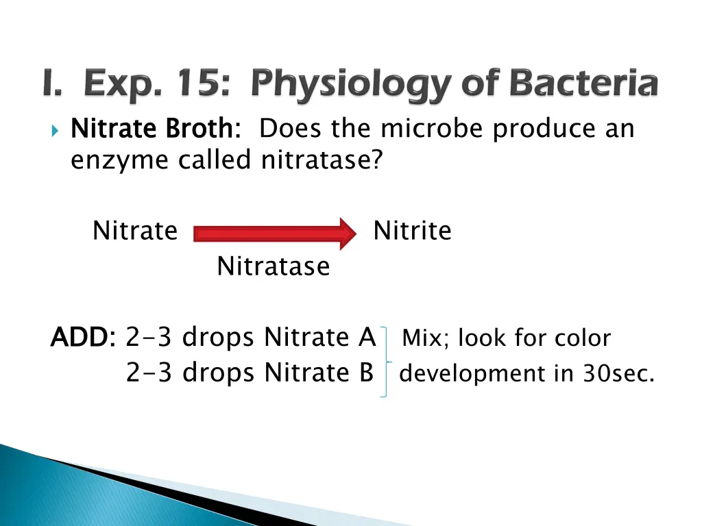 nitrate broth enzyme called nitratase