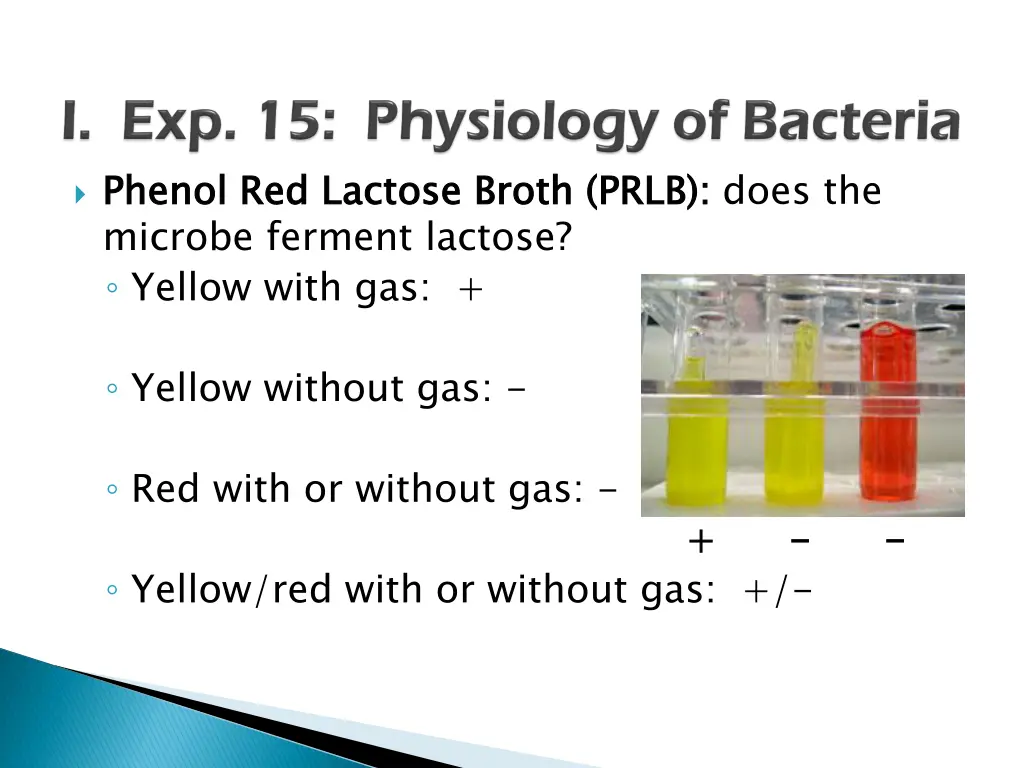 phenol red lactose broth prlb microbe ferment