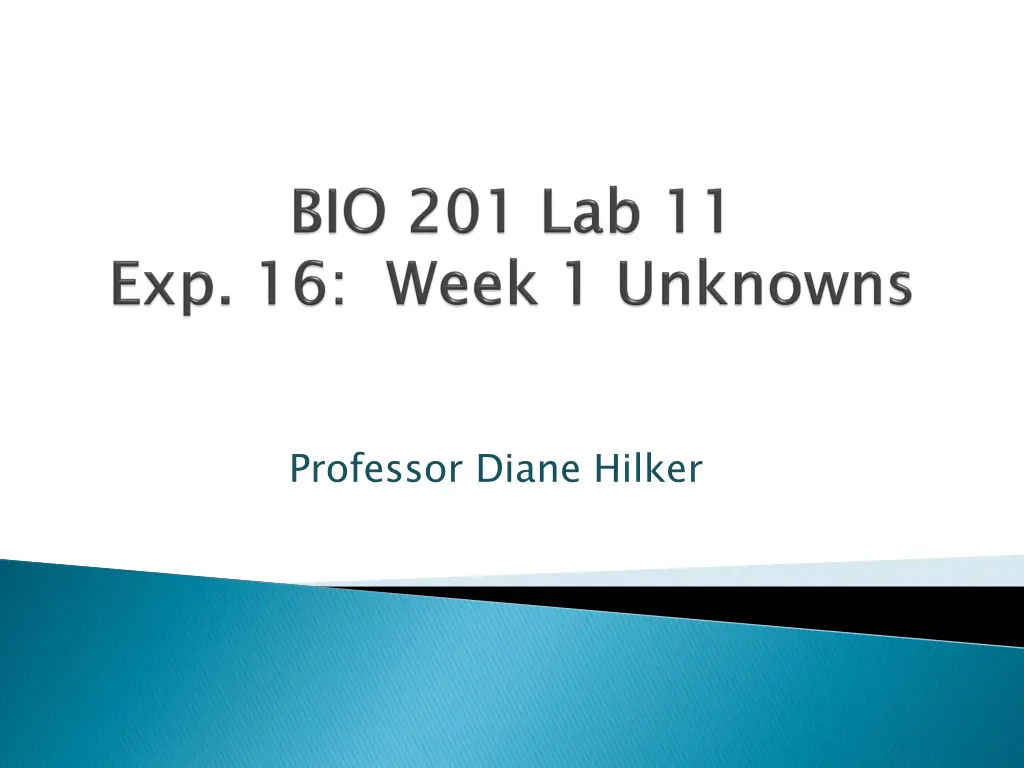 professor diane hilker 1