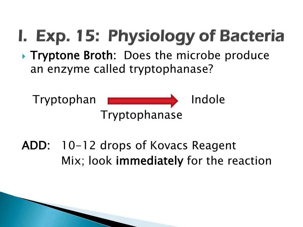 tryptone an enzyme called tryptophanase