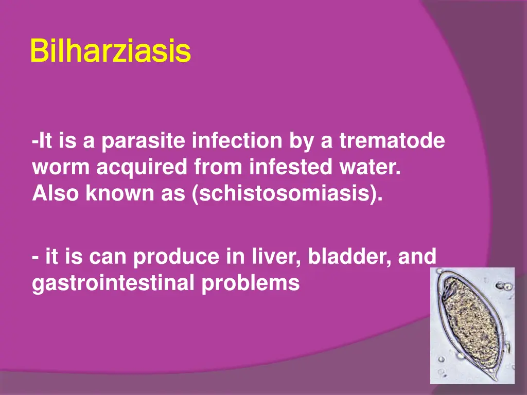 bilharziasis bilharziasis