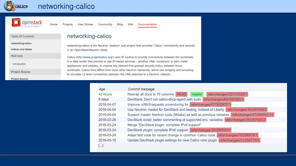 networking calico