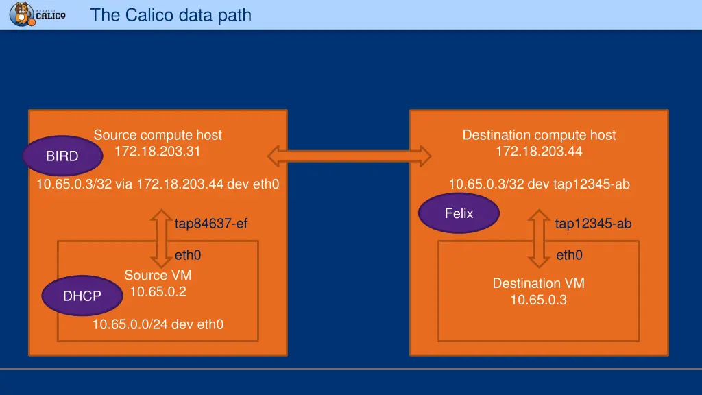 the calico data path 3