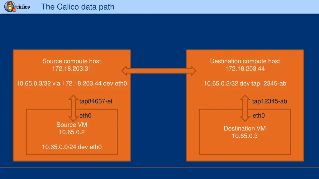 the calico data path