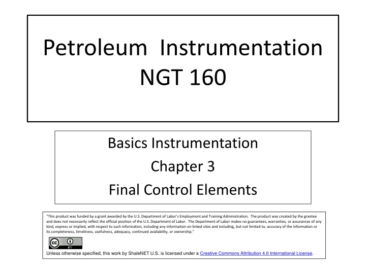 petroleum instrumentation ngt 160