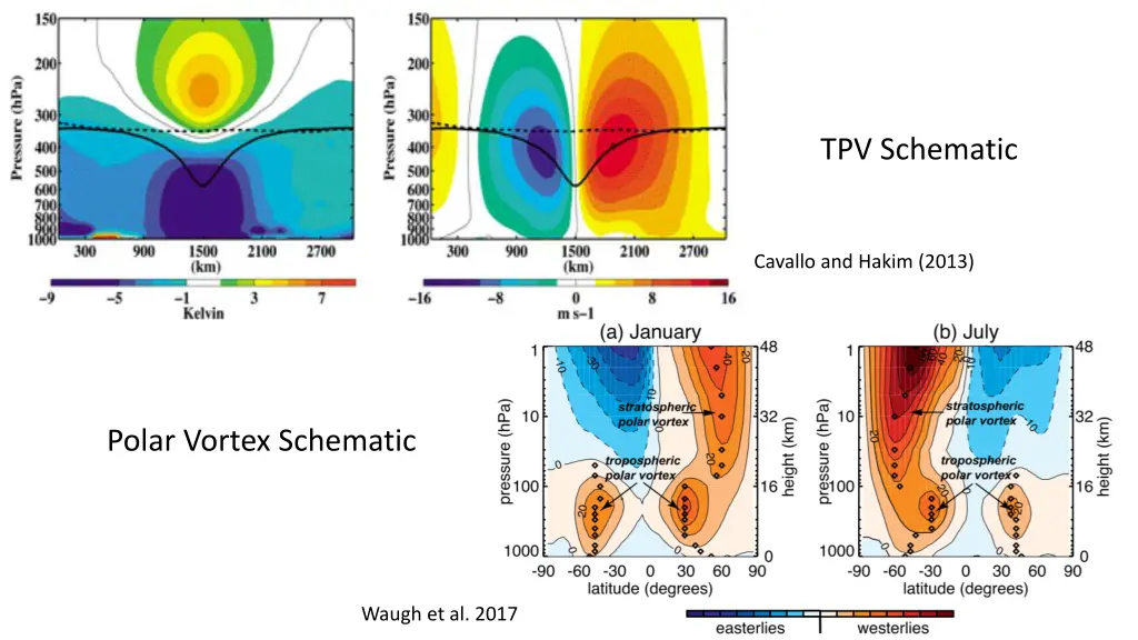 tpv schematic