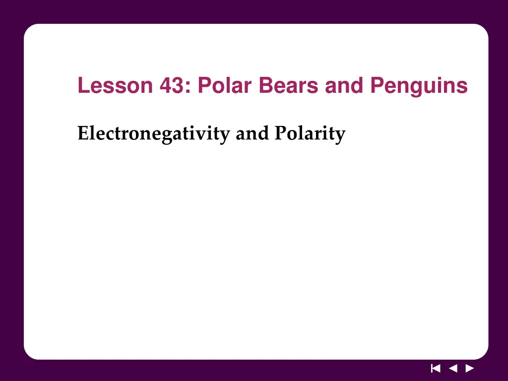 lesson 43 polar bears and penguins