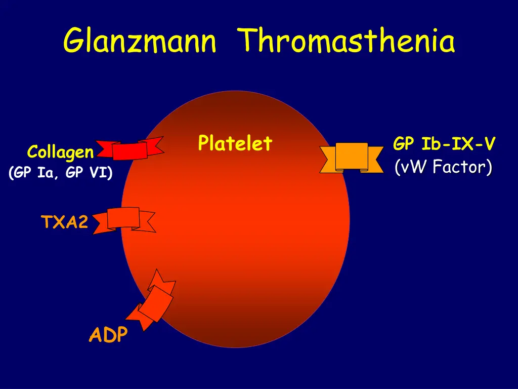 glanzmann thromasthenia 1