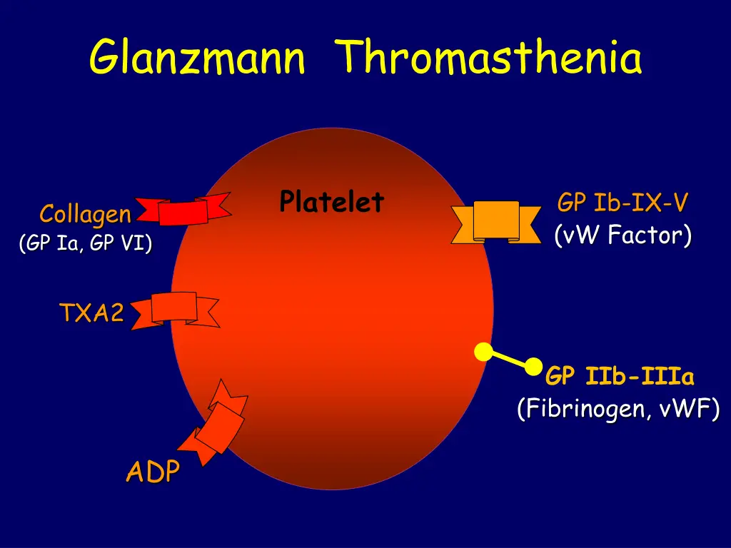 glanzmann thromasthenia