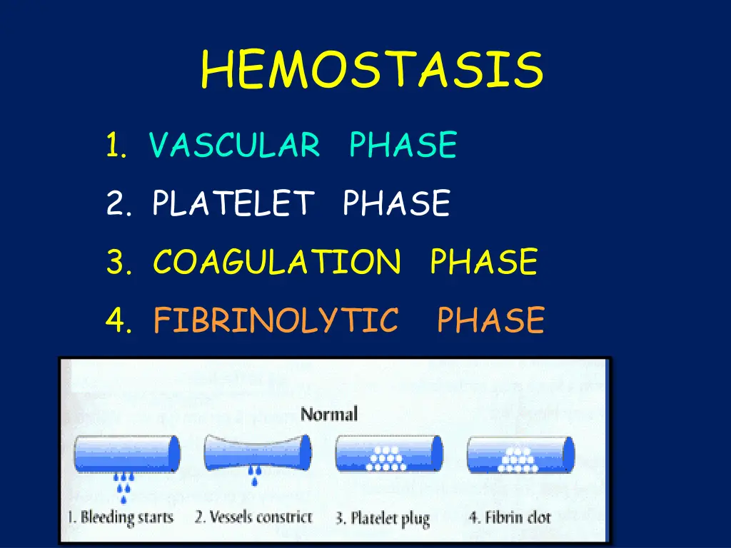 hemostasis