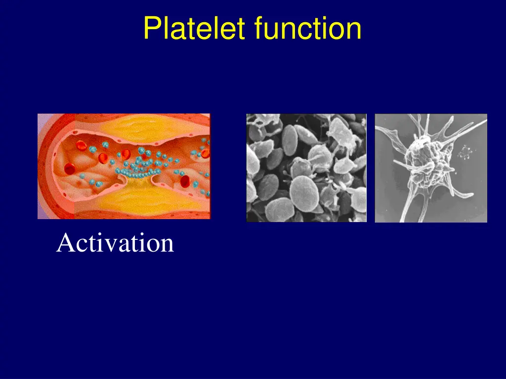 platelet function 1