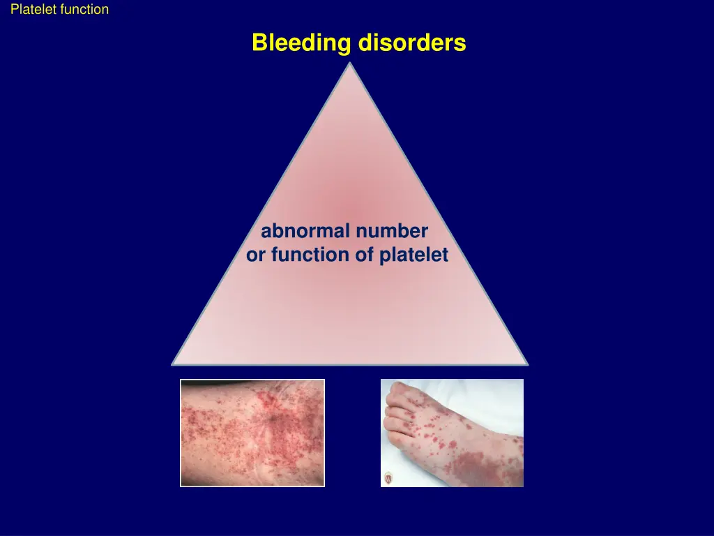 platelet function 4