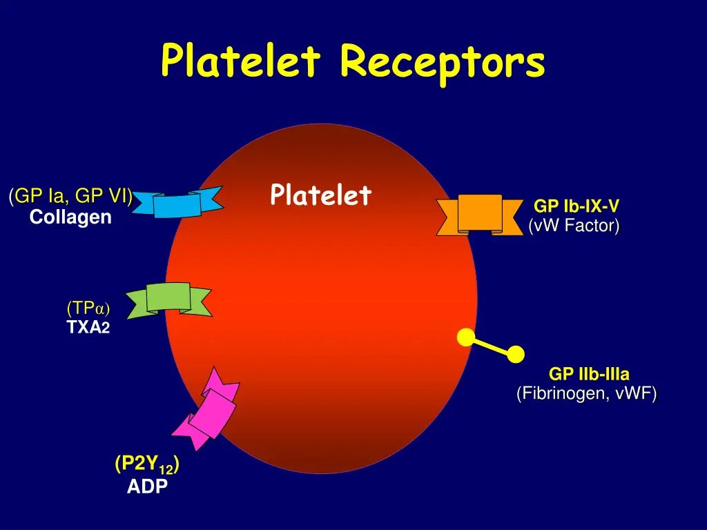 platelet receptors