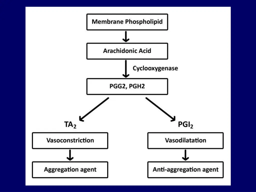 slide24