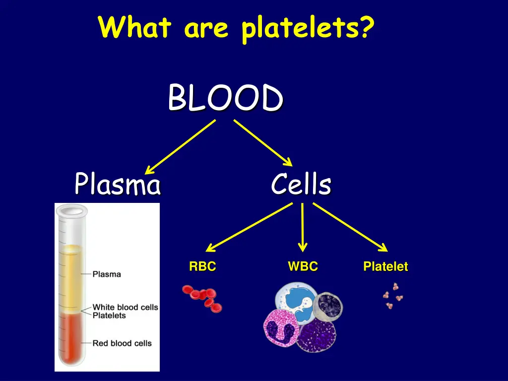 what are platelets