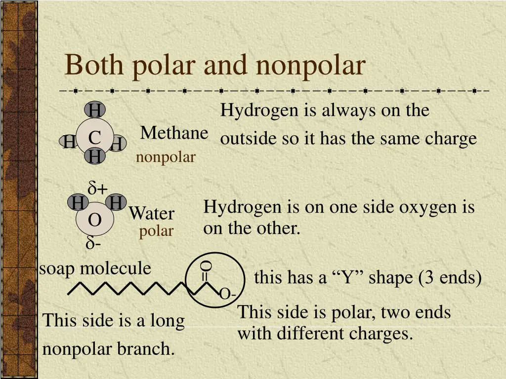 both polar and nonpolar