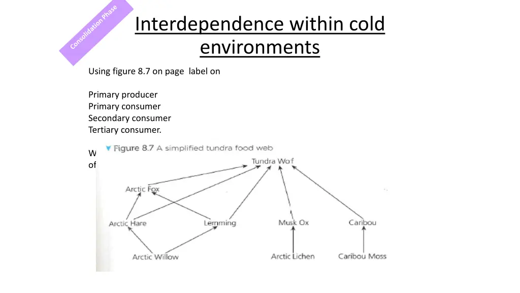 interdependence within cold environments