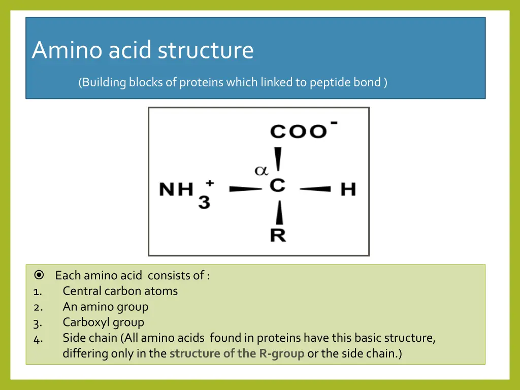 amino acid structure