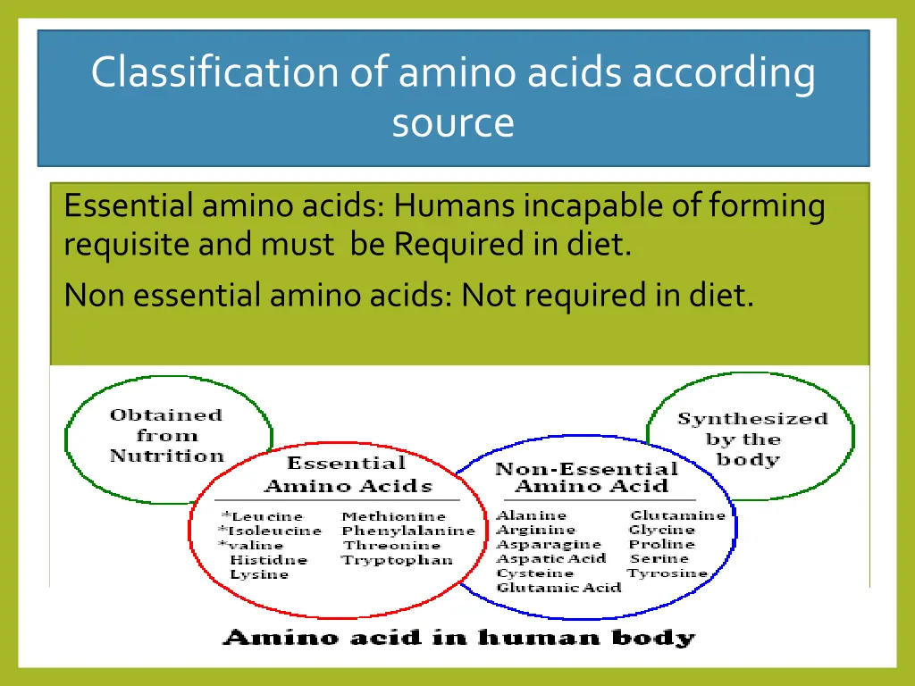 classification of amino acids according source