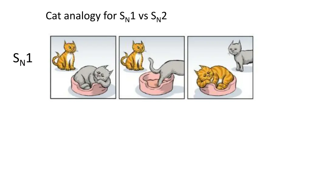 cat analogy for s n 1 vs s n 2