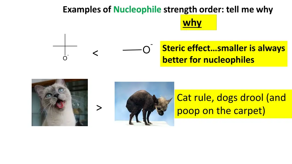 slide19