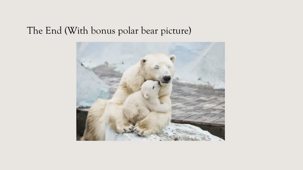 the end with bonus polar bear picture