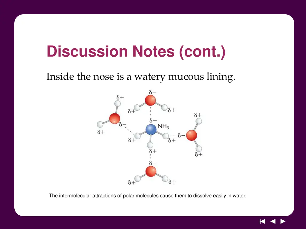 discussion notes cont 3