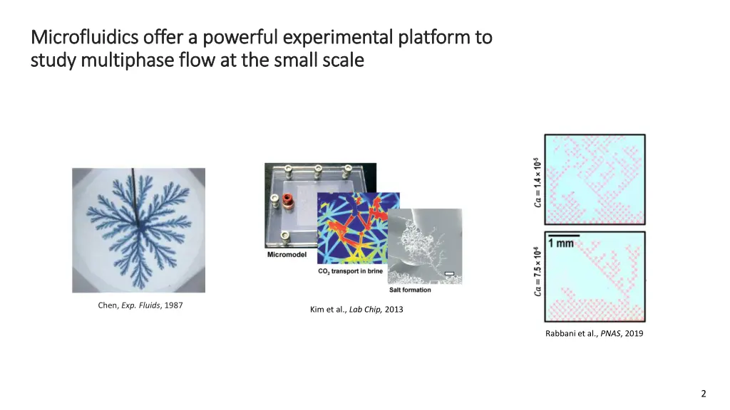 microfluidics offer a powerful experimental