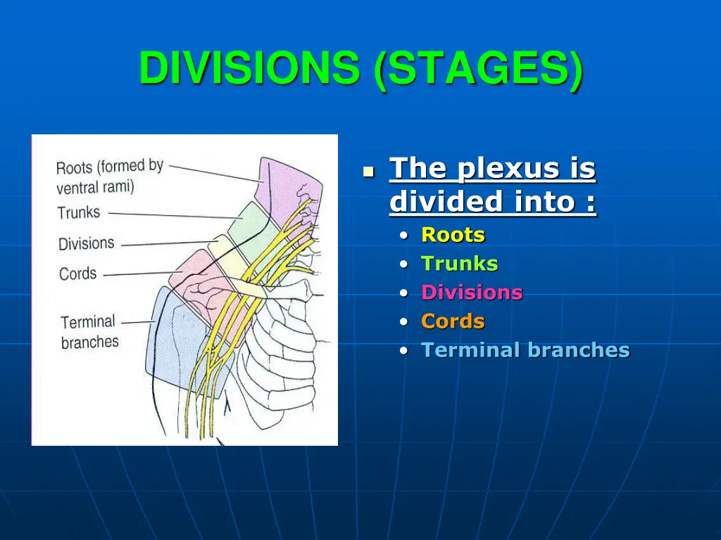 divisions stages