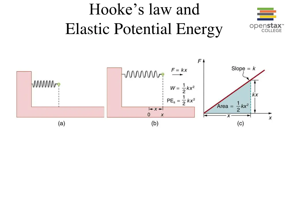 hooke s law and elastic potential energy