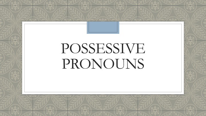 possessive pronouns