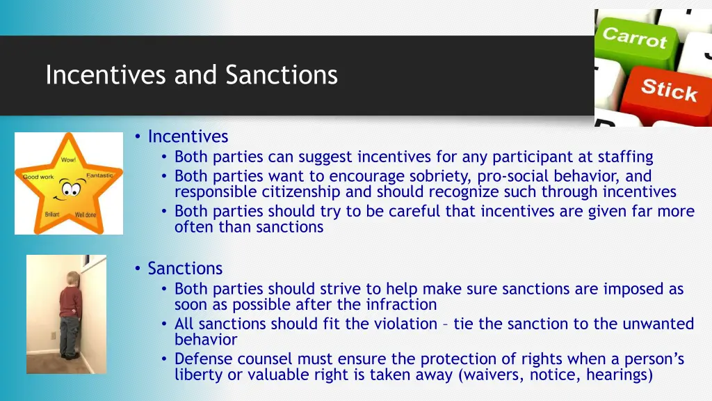 incentives and sanctions 1