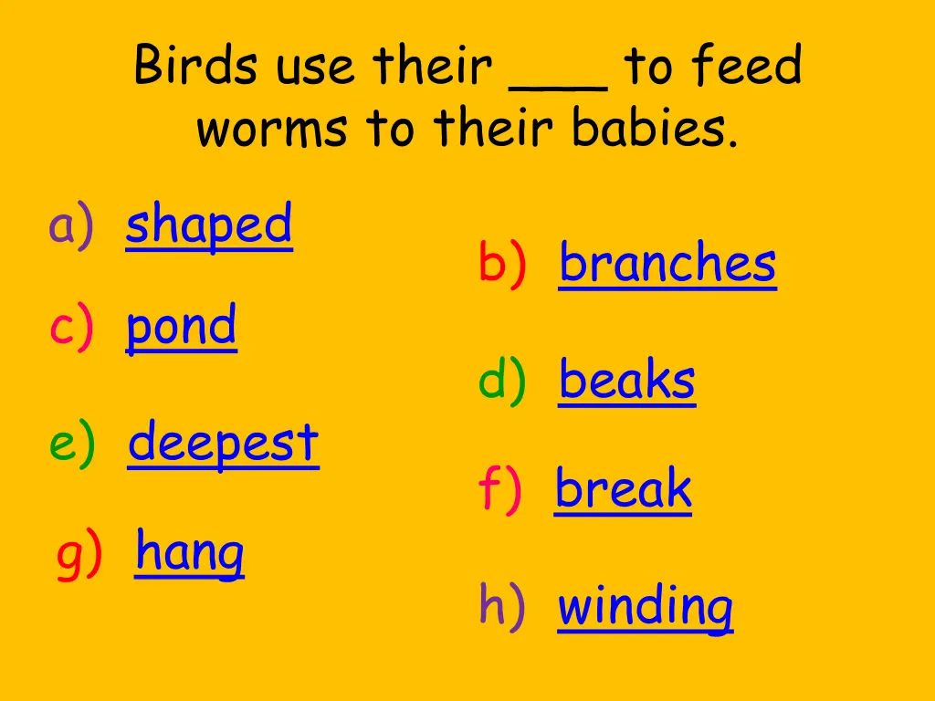 birds use their to feed worms to their babies