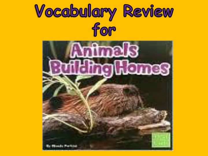 vocabulary review for